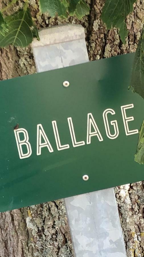 Le Gite De Ballage Chemille-Sur-Deme Eksteriør bilde