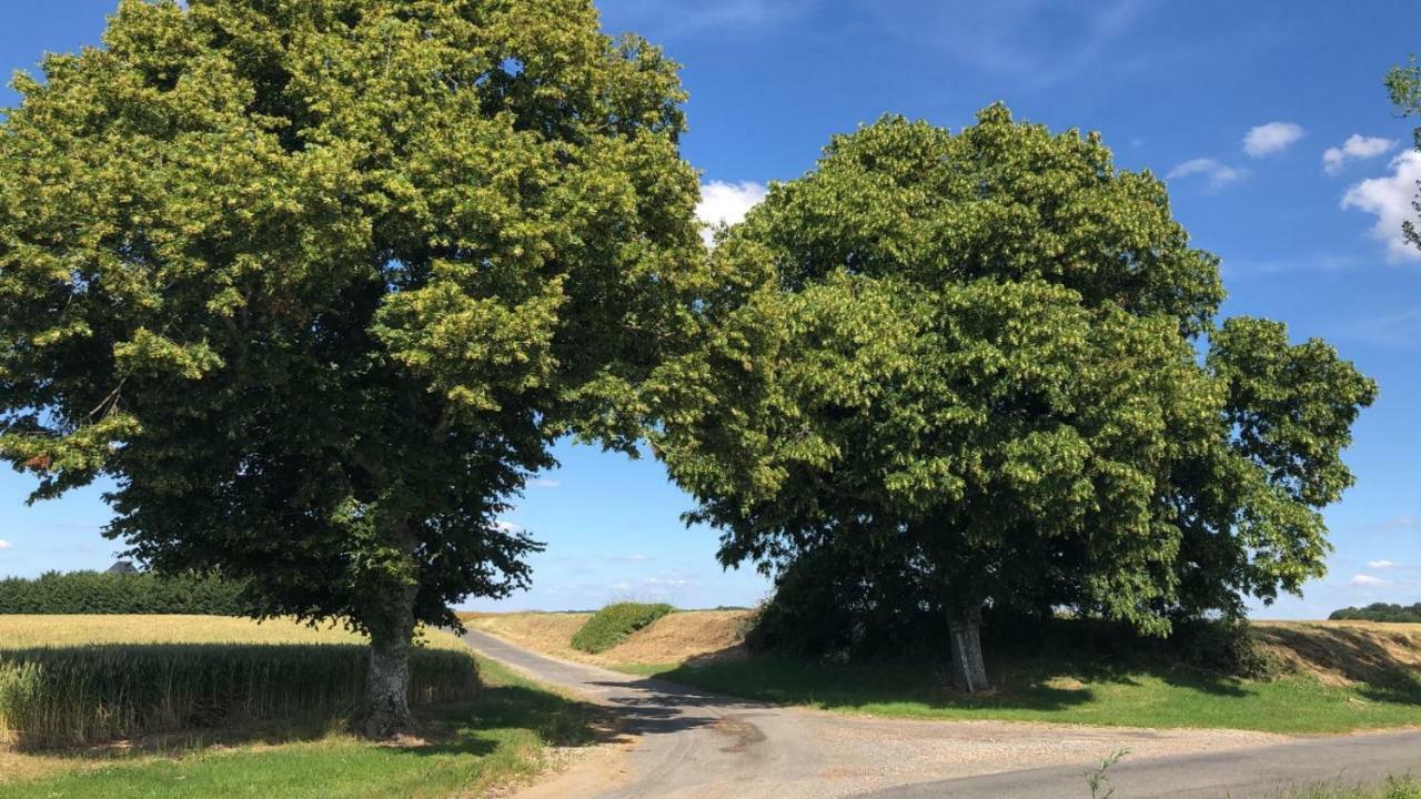 Le Gite De Ballage Chemille-Sur-Deme Eksteriør bilde